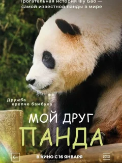 Мой друг панда